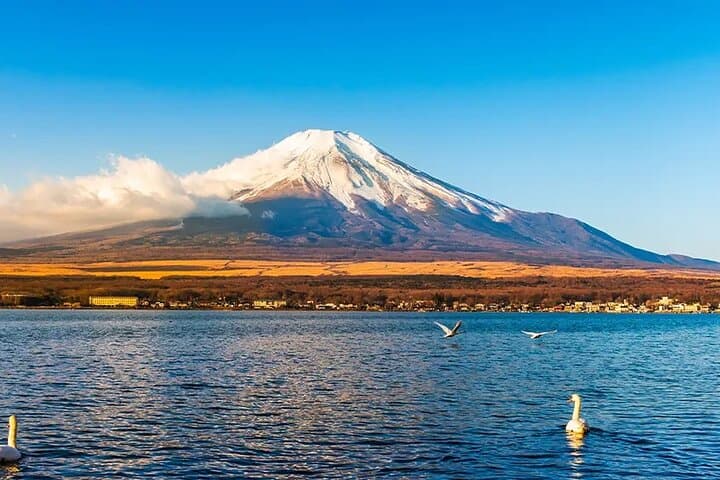 Mt. Fuji, Hakone, Owakudani, Lake Yamanaka Tour (Hakone Ropeway) — photo 20