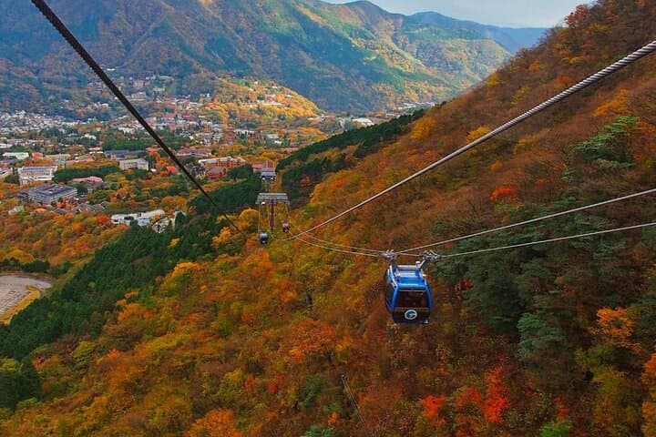 Hakone Private Day Trip with Driver From Tokyo — photo 5