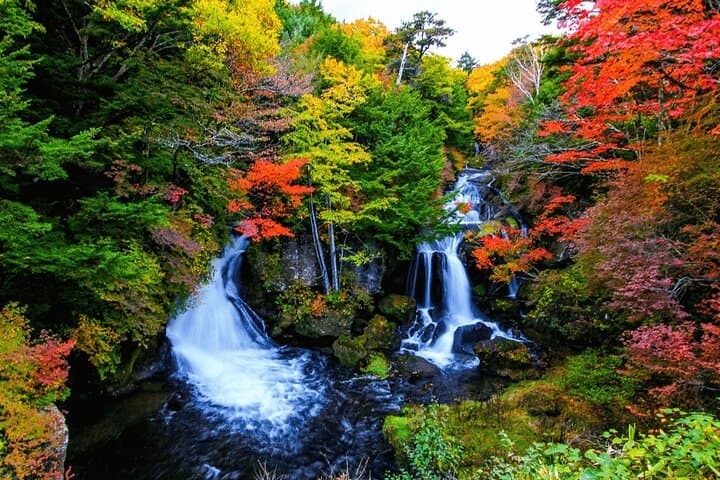 Nikko Private Day Trip with English Speaking Driver From Tokyo — photo 4