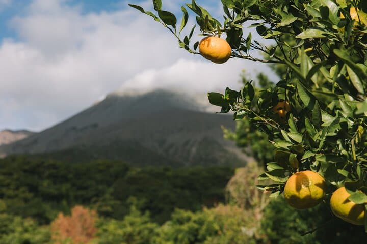 Sakurajima Blessings of the Earth Ride — photo 5