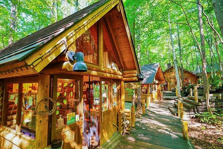 Hokkaido: Asahiyama Zoo, Furano, and Ningle Terrace Full Day Tour — photo 11