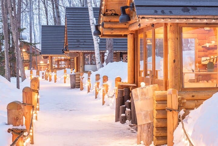 Hokkaido: Asahiyama Zoo, Furano, and Ningle Terrace Full Day Tour — photo 12