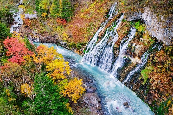 Hokkaido: Asahiyama Zoo, Furano, and Ningle Terrace Full Day Tour — photo 13