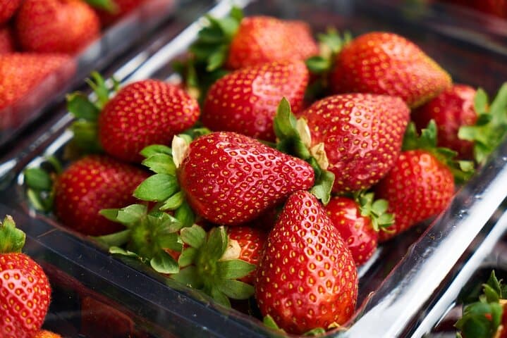 Strawberry Picking and Exploring Beautiful City of Tamba Sasayama — photo 10