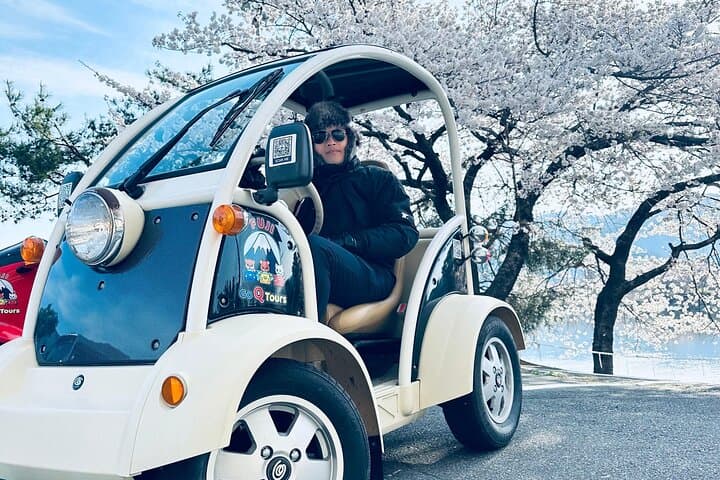 Cute & Fun E-Car tour following guide around Lake Kawaguchiko — photo 19