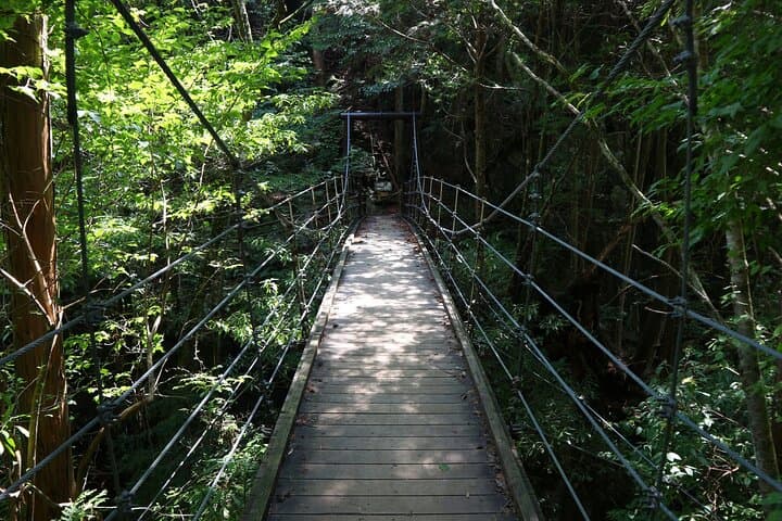 From Nagoya: Hidden Gems of the Kiso Valley (summer only) — photo 8
