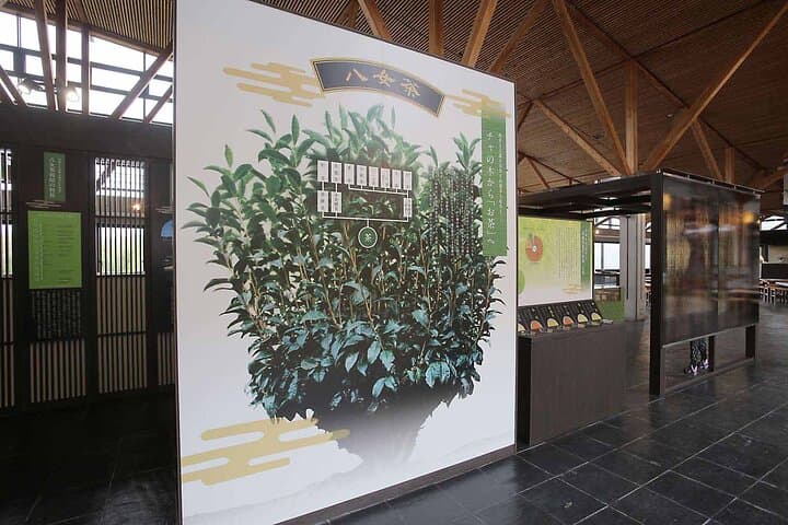 YokaBus Heritage in a Cup of a Yame Tea & Sake Tasting Expedition — photo 8