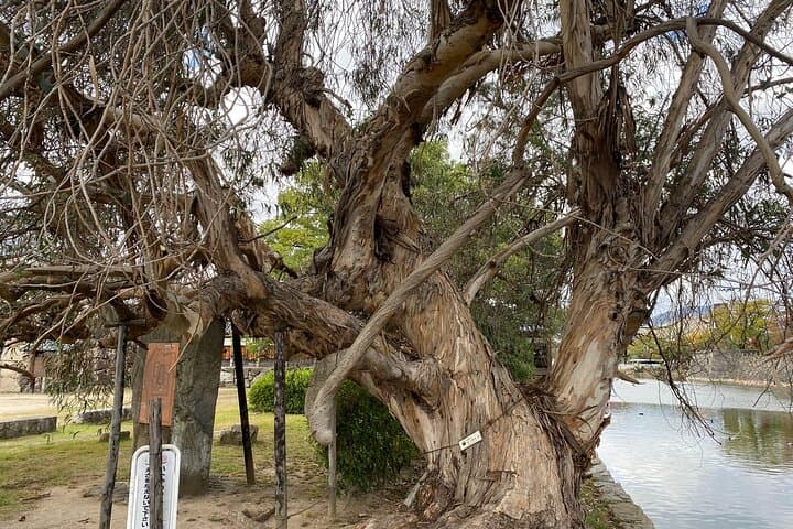 Half Day Hiroshima Highlight Tour with Story Telling — photo 10