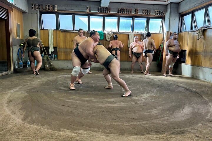 Yokuzuna Sumo Stable Morning Practice in Osaka — photo 2