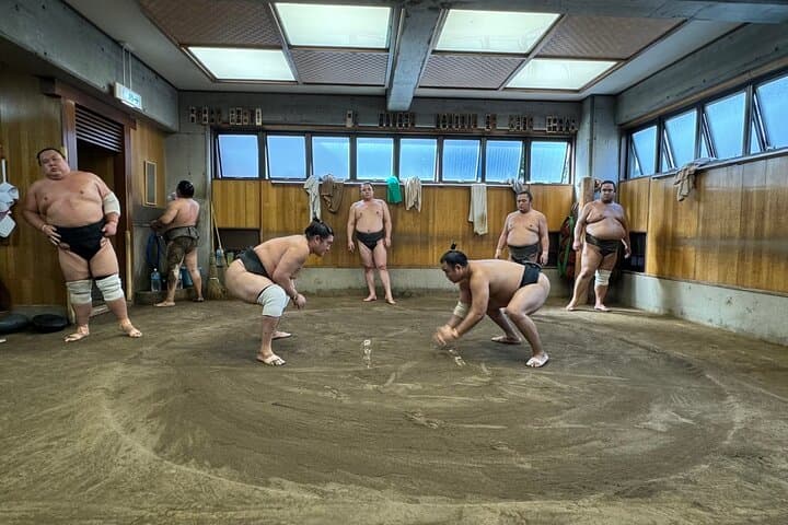 Yokuzuna Sumo Stable Morning Practice in Osaka — photo 3
