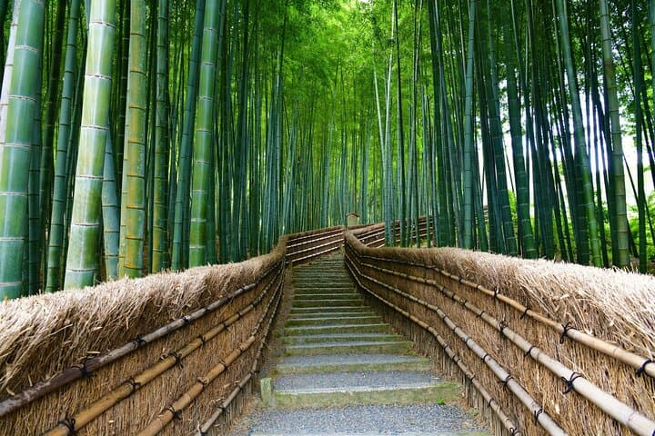 Kyoto Arashiyama A Tour of Sacred Temples and Hidden Sanctuaries — photo 5