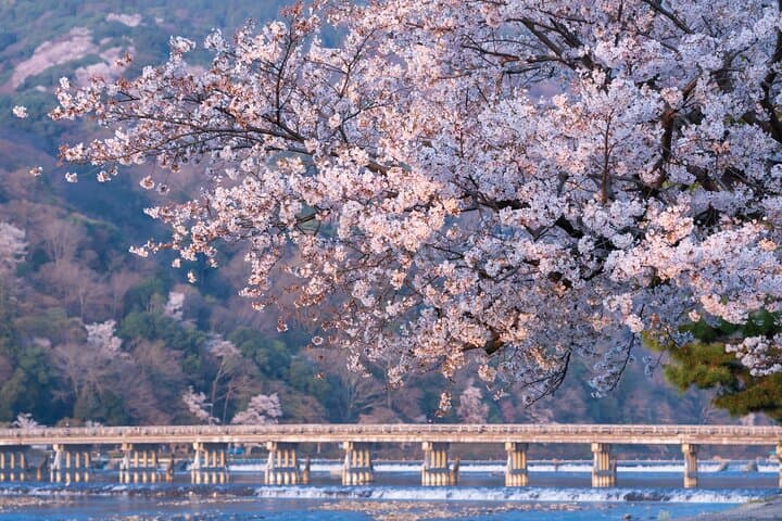 Kyoto Arashiyama A Tour of Sacred Temples and Hidden Sanctuaries — photo 1