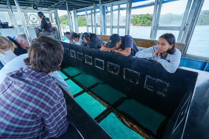 【Customizable】Ishigaki Private Tour -Up to 4 People, Flat Rate- — photo 8