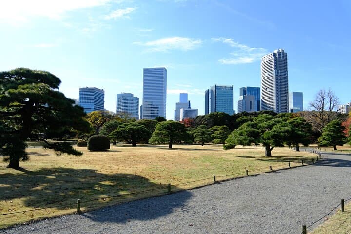 Tokyo Highlights Guided Walking Tour Part 2 — photo 13