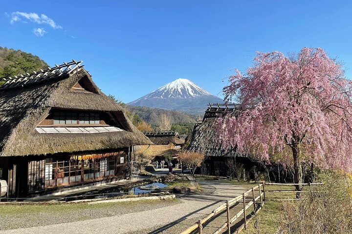 From Tokyo: Mount Fuji Sightseeing Full Day Trip — photo 4