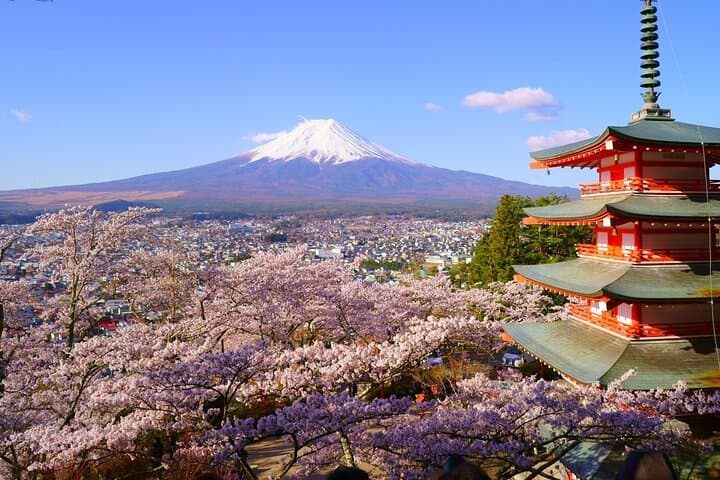 Mt. Fuji and Gotemba Outlet Private Day Trip From Tokyo — photo 2