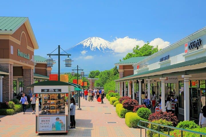 Mt. Fuji and Gotemba Outlet Private Day Trip From Tokyo — photo 1