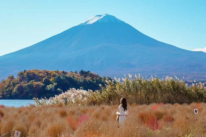 Mt. Fuji and Gotemba Outlet Private Day Trip From Tokyo — photo 10