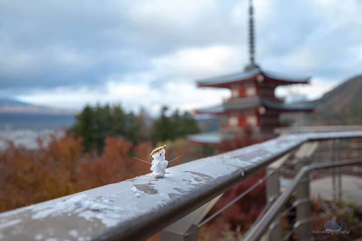 Mt. Fuji and Gotemba Outlet Private Day Trip From Tokyo — photo 11