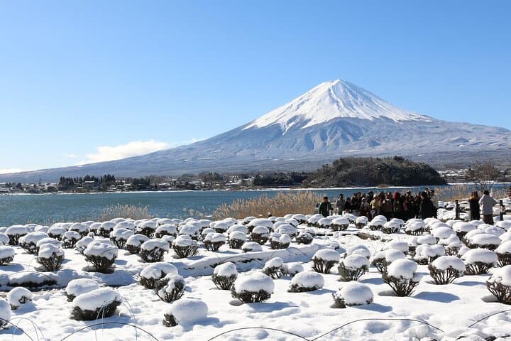 Mt. Fuji and Gotemba Outlet Private Day Trip From Tokyo — photo 13