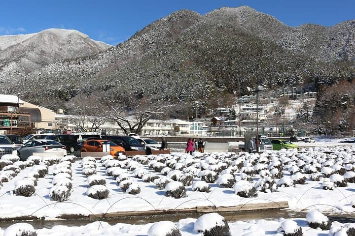 Mt. Fuji and Gotemba Outlet Private Day Trip From Tokyo — photo 14