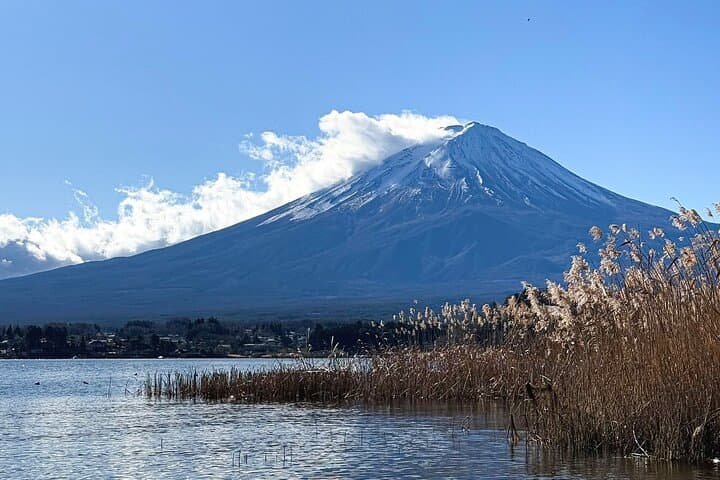 Mt. Fuji and Gotemba Outlet Private Day Trip From Tokyo — photo 15