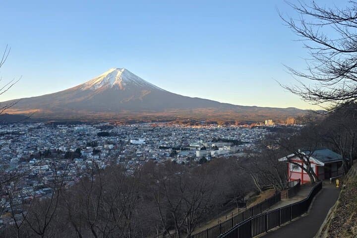 Mt. Fuji and Gotemba Outlet Private Day Trip From Tokyo — photo 19