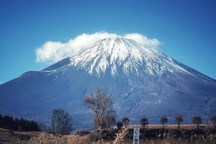 Mt. Fuji and Gotemba Outlet Private Day Trip From Tokyo — photo 20