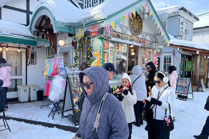 Sapporo Beer Museum from Otaru — photo 10