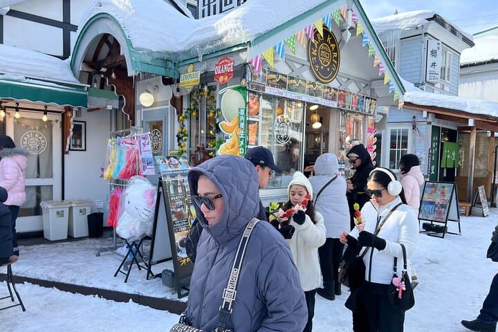 7 Hour Day Trip Otaru from Sapporo by public transportation — photo 7