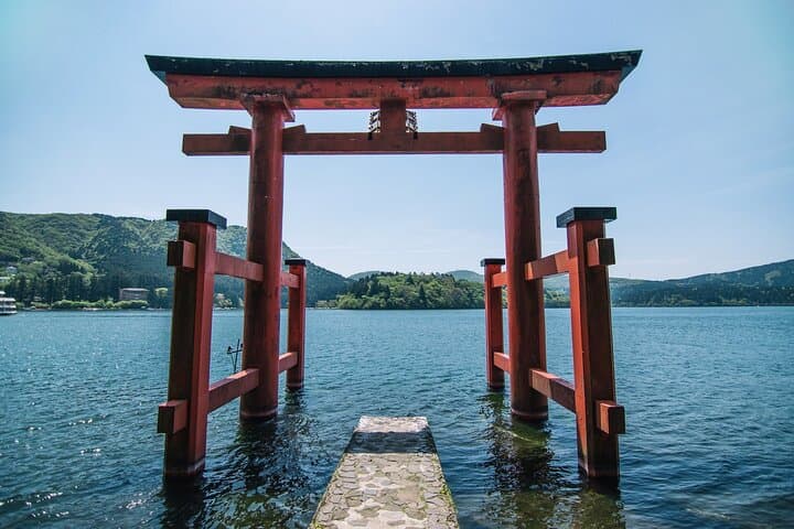 From Tokyo Cherry Blossom Season Private Day Tour in Hakone — photo 1
