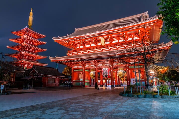 Tokyo Private Day Trip with English Speaking Driver — photo 3