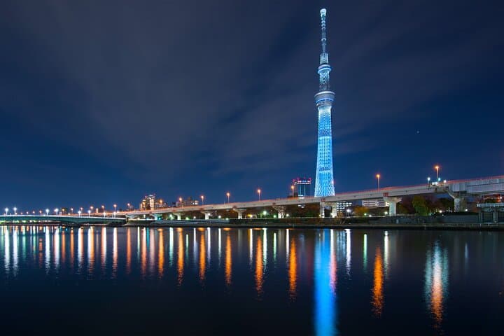 Tokyo Private Day Trip with English Speaking Driver — photo 6