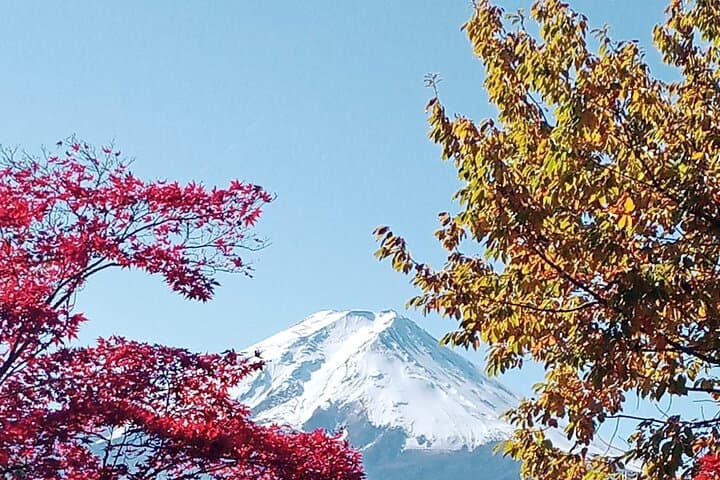 Muslim Friendly Mount Fuji Tour with English Speaking Chauffeur — photo 2