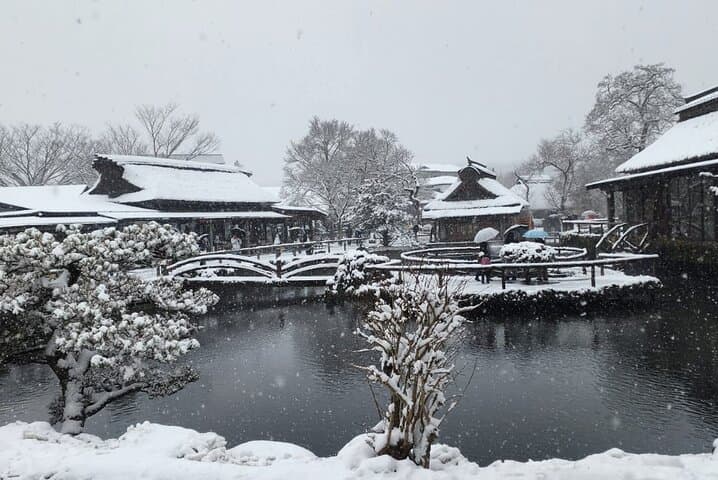 Muslim Friendly Mount Fuji Tour with English Speaking Chauffeur — photo 8