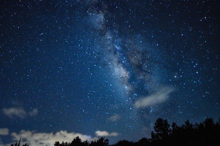 Miyako Island Jungle Night Tour and Starry Sky Viewing — photo 5