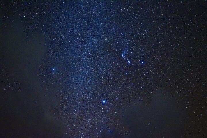 Miyako Island Jungle Night Tour and Starry Sky Viewing — photo 6