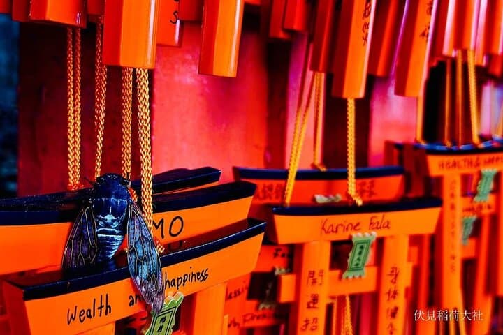 Osaka/Kyoto: Arashiyama, Fushimi Inari & Nara Park Day Trip — photo 6