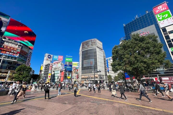Tokyo Best West Part Tour by public transportation — photo 8