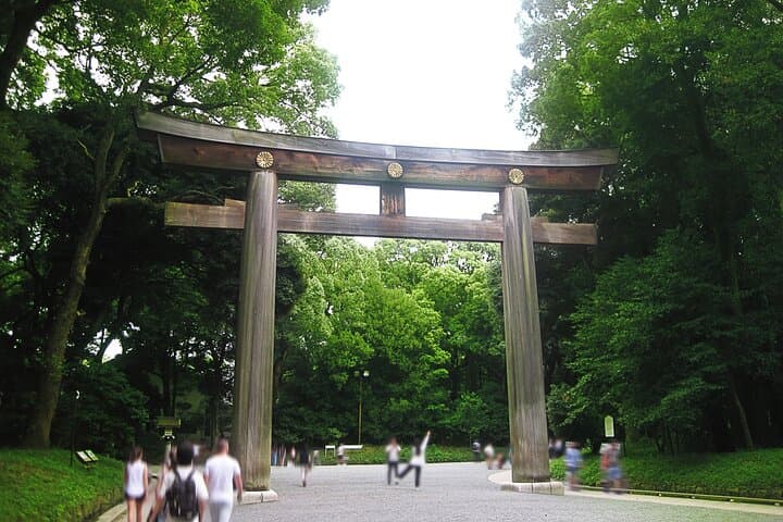 Tokyo Best West Part Tour by public transportation — photo 6