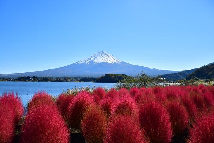1 Day short excursion to Mt Fuji with a private van — photo 4