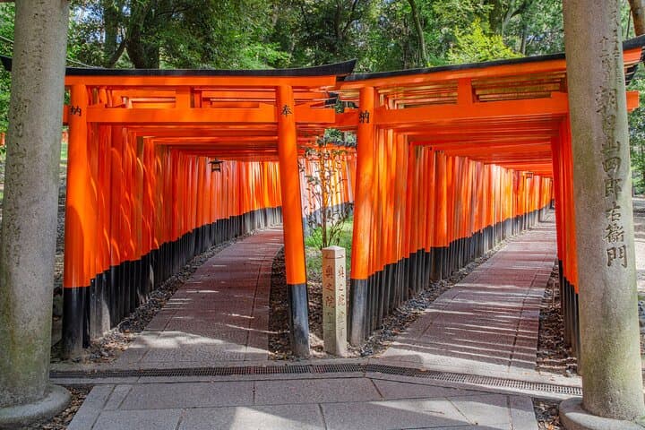 From Kyoto / Osaka: Kyoto Must-see Spots & Nara Park One Day Tour — photo 7