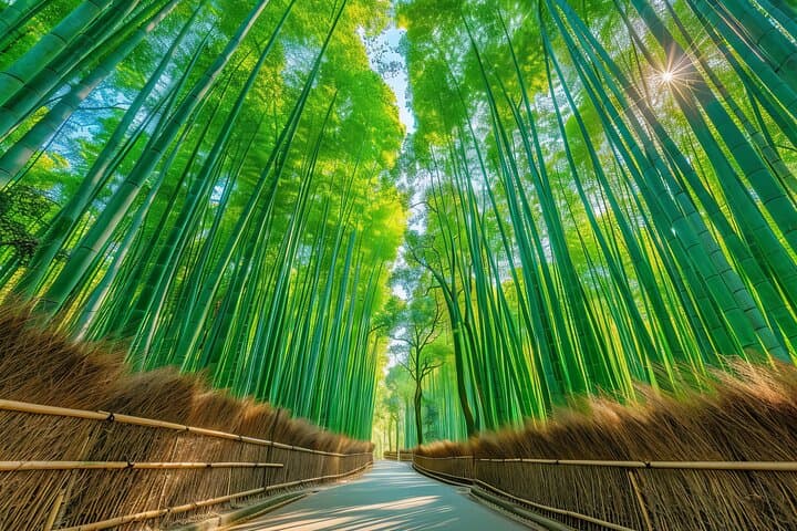 Kyoto Full Day Sightseeing Tour from Osaka or Kyoto — photo 13