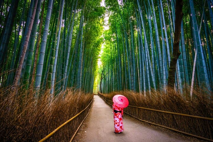 Kyoto Full Day Sightseeing Tour from Osaka or Kyoto — photo 15