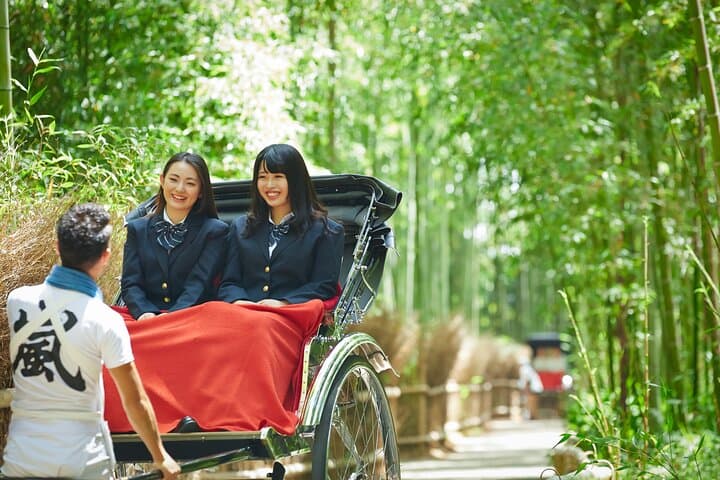 From Kyoto / Osaka: Kyoto Must-see Spots & Nara Park One Day Tour — photo 3