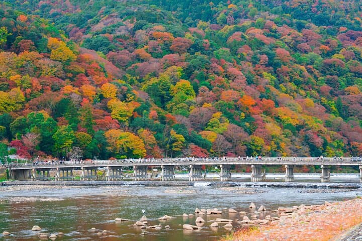 From Kyoto / Osaka: Kyoto Must-see Spots & Nara Park One Day Tour — photo 18