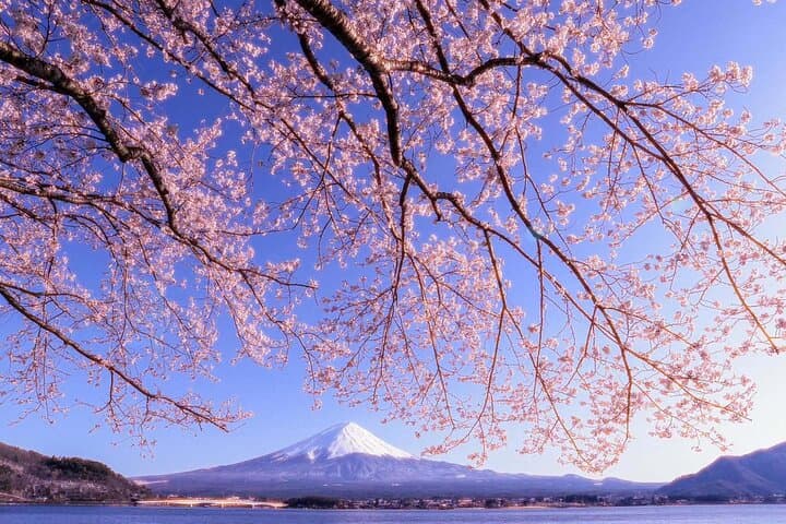 From Tokyo: Mount Fuji Sightseeing One Day Trip — photo 17