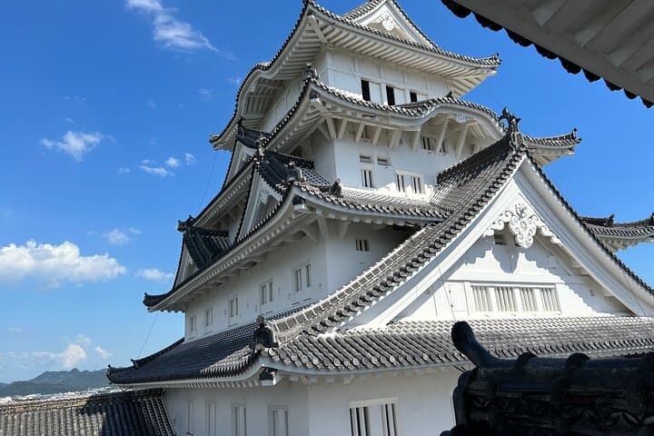 Private Himeji Castle & Seto Inland Sea Gourmet Drive — photo 10