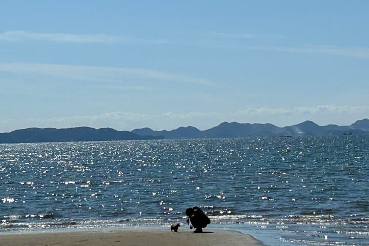 Private Himeji Castle & Seto Inland Sea Gourmet Drive — photo 7