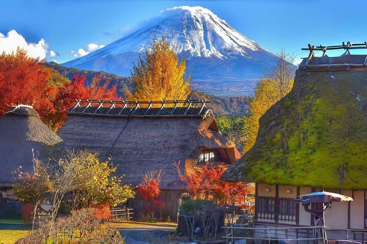 Mount Fuji & Fuji Shibazakura Festival One Day Trip From Tokyo — photo 12